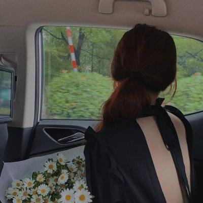 101斑点狗第一季